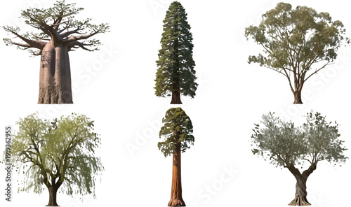 A set of six different tree species vector illustration for landscape design and architectural plans, isolated on white background.