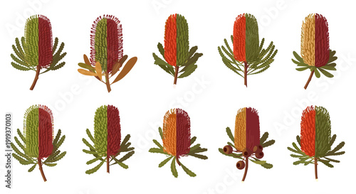 Collection of colorful autumn leaves with various shapes and textures