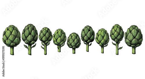 Line of artichoke vegetables with green leaves and stems
