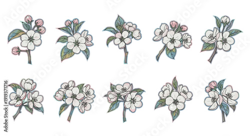 Collection of cherry blossom flowers with delicate petals and leaves