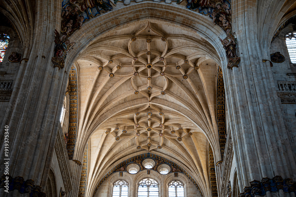 Fototapeta premium Intricate ceiling design inside a historic cathedral.. Salamanca Cathedral, Spain