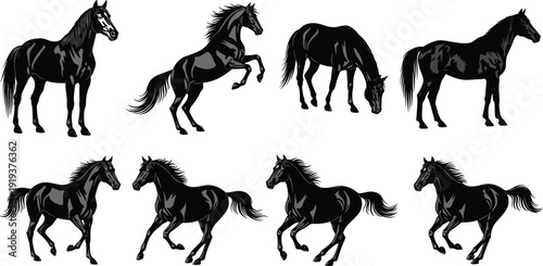 Black Horse Silhouette Collection Running Rearing Grazing Domestic Farm Animal Elegant Equine Isolated Vector Illustration Set For Equestrian Design Projects