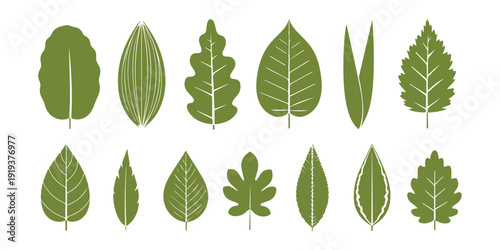 Green leaves collection set isolated flat design vector illustration scalable graphic art