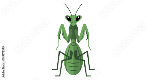 Illustration of a green praying mantis insect with detailed body segments and antennae.