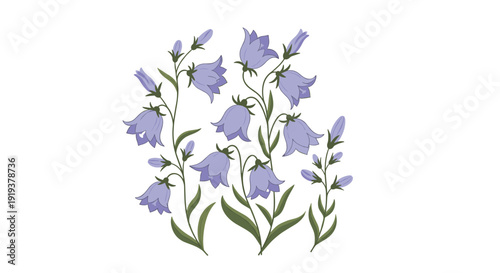Delicate purple bellflowers on green stems illustrated in a soft and natural style for a garden or floral composition.