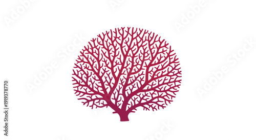 Symmetrical fan-shaped sea coral in a deep red color shown as a botanical illustration for marine and reef themes.