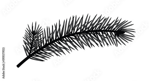 Evergreen pine branch needle cluster illustration captured in a detailed black and white engraving style for seasonal and nature inspired layouts.