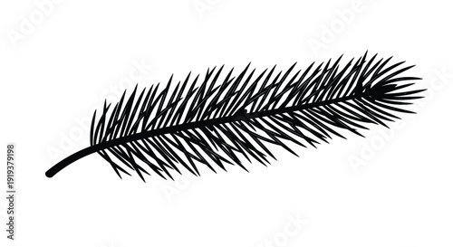 Single conifer branch with dense needles shown in a crisp black silhouette perfect for minimalist winter and nature graphic design work.