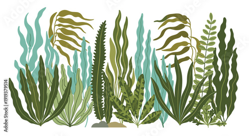 Illustration of multiple varieties of green and blue seaweed plants growing together in a dense underwater forest arrangement.