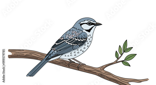 Beautiful hand-drawn illustration of a small blue and gray songbird perched on a brown tree branch with green leaves.