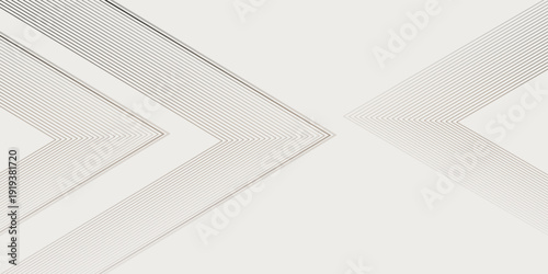 White grey feathers macro blurred  abstract background