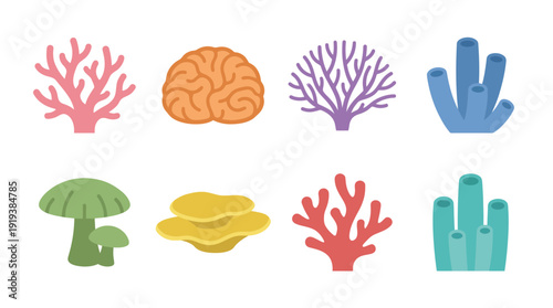 coral , flat color vector set collection , white background , PNG and SVG