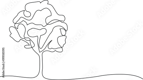 A simple line drawing of a tree with a full canopy and a curved ground line. Vector