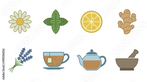 herbal tea , flat color vector set collection , white background , PNG and SVG