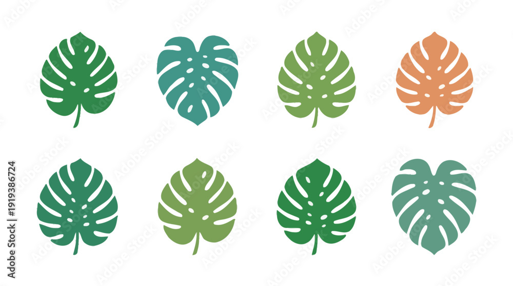 Fototapeta premium monstera leaf , flat color vector set collection , white background , PNG and SVG
