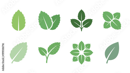 mint leaf , flat color vector set collection , white background , PNG and SVG