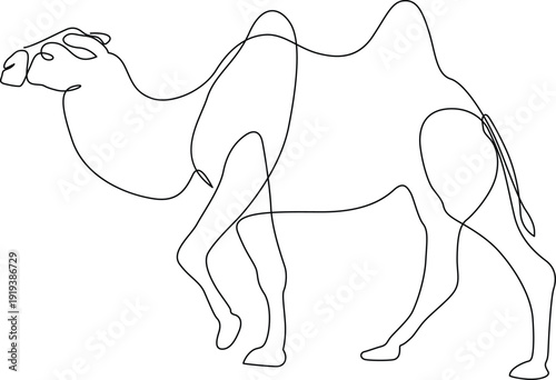 A detailed line drawing of a camel showcasing its unique structure and posture. Vector