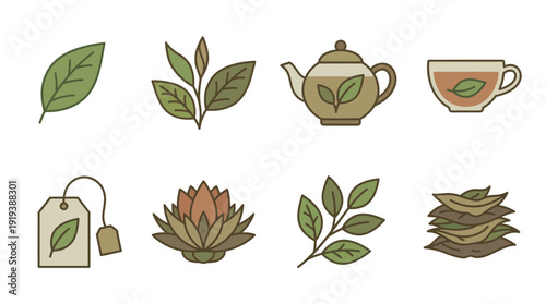 tea leaf , flat color vector set collection , white background , PNG and SVG