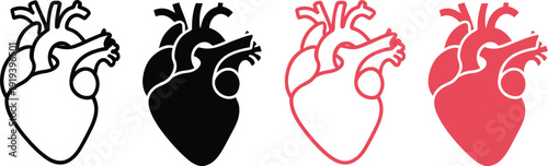 Horizontal row of four detailed anatomical heart icons ideal for medical diagrams, education, and health graphics