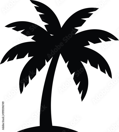 Silhouette of a tropical palm tree isolated on a white background