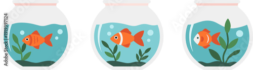Three goldfish swimming in separate round fishbowls with aquatic plants and bubbles