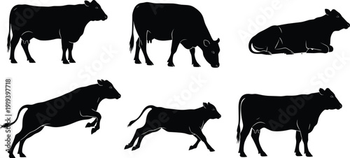 Cow silhouette set showing standing grazing running lying and walking cattle poses farm animal livestock vector illustration collection isolated