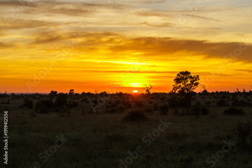 Sunset over the grassland of Kruger Nationalpark in Southafrica