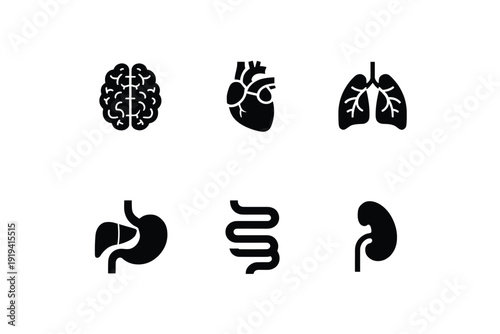 Human Internal Organs Icon Set On White Background