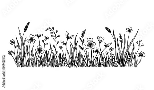 Organic Grass and Flower Doodle Vector Illustration with Hand Drawn Clover Sprout