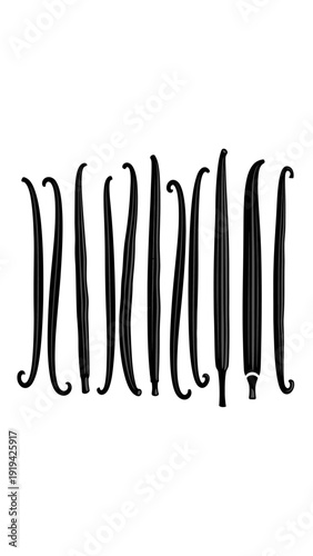 Vanilla Beans Collection: Natural Spice Pods for Culinary Use