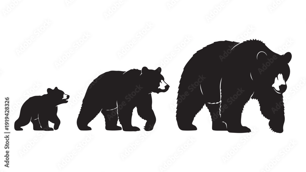 Fototapeta premium Black Bear Family Silhouette Vector Illustration Growth Stages Minimalist Wildlife Art