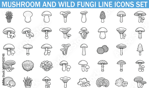 Mushroom and Wild Fungi Line Icons Set, Edible Forest Varieties, Botanical Nature Vector Illustration Collection
