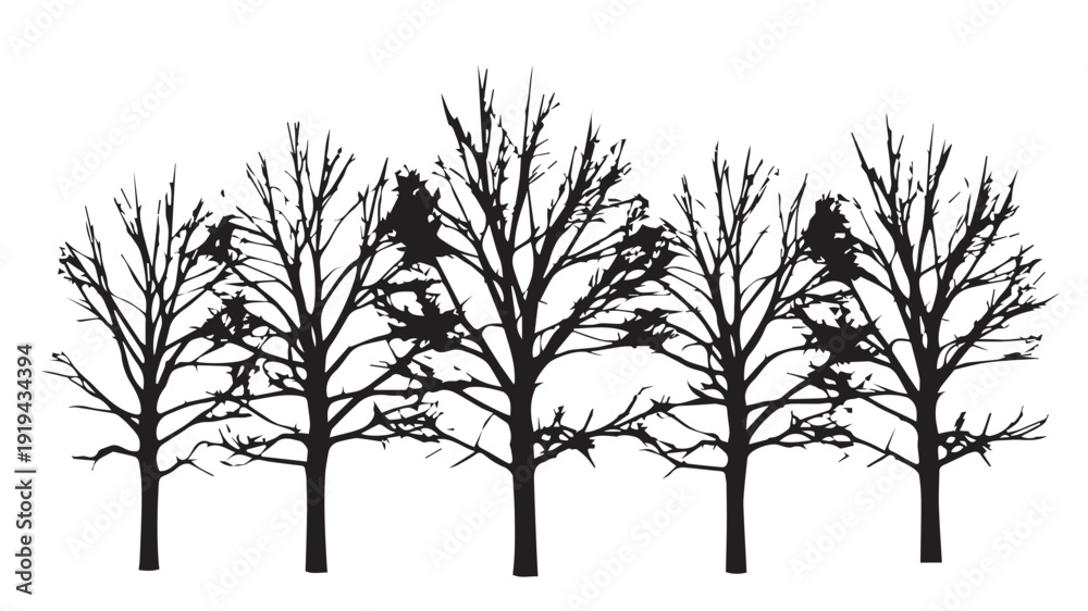 Fototapeta premium Black and white silhouette of bare trees in a row