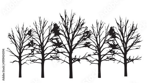 Black and white silhouette of bare trees in a row