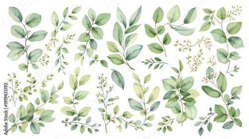 Minimalist eucalyptus and leafy branch clipart set in fresh watercolor style