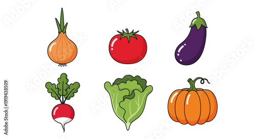 Vegetable illustrations on white background