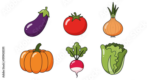 Vegetables illustration on white background