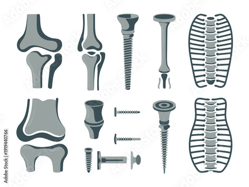 Human knee and hip joint anatomy with bone structure vector isolated on transparent bg