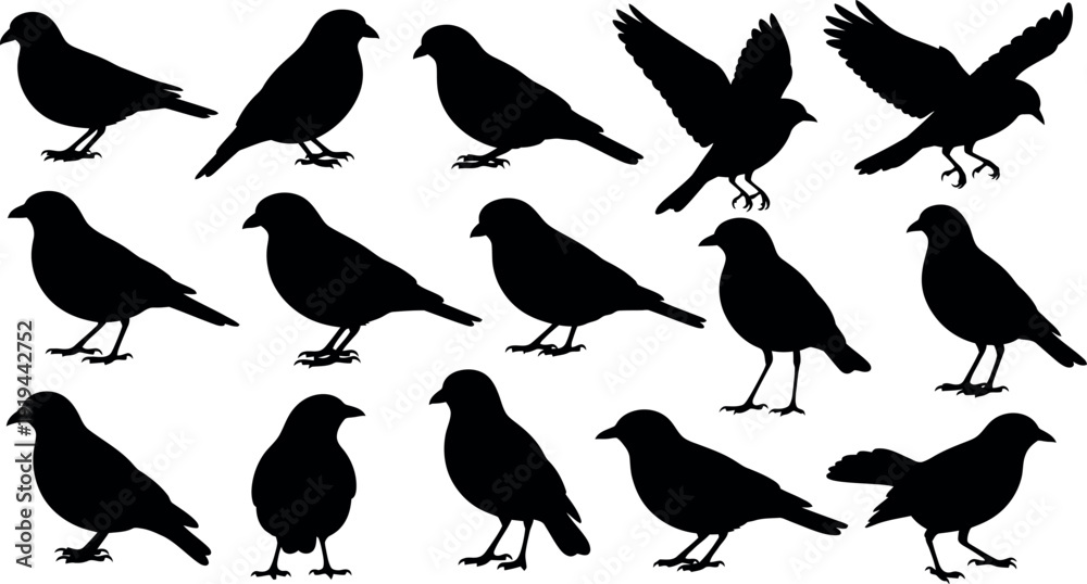 Obraz premium Collection of black bird silhouettes in various poses