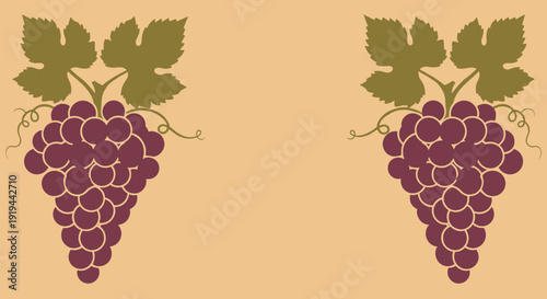 Bunches of Grapes with Leaves Illustration.