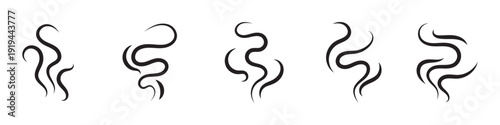 Smoke steam silhouette icon illustration isolated on white background