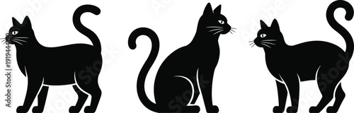 Black vector silhouette set of three graceful domestic cats in standing and sitting poses for pet care veterinary services and animal branding