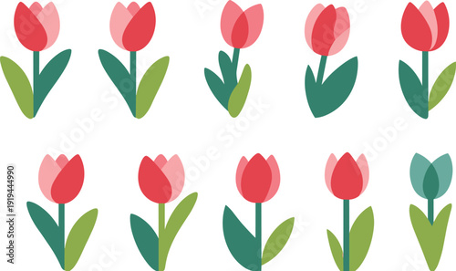 Stylized tulip flower illustration set featuring diverse petal colors and leaf shapes, symbolizing botanical variety, floral design, nature beauty, and spring creativity