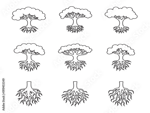 Elegant underground tree root system in refined outline style