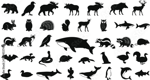 Animal silhouettes illustration set with wildlife, marine, bird and reptile species, biodiversity vector graphics, educational design concept, black and white creative art collection