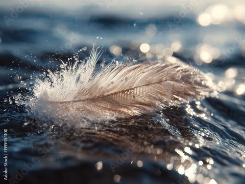 Delicate Feather Touching Rippling Water at Sunset – Dreamy Macro Nature Background with Sparkling Bokeh