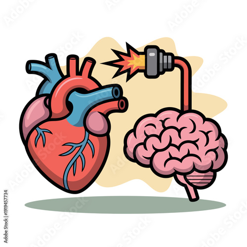 Illustration shows an electrical connection linking the human heart organ to the brain.
