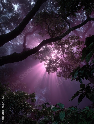 Magical light streaming through the enchanted forest