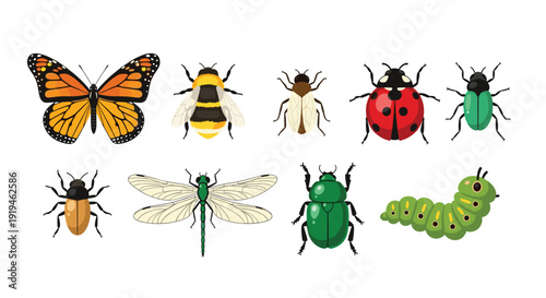 Assorted insects and bugs including a monarch butterfly, bumblebee, dragonfly, various beetles, and a green caterpillar