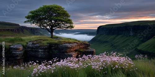 Majestic tree stands guard over misty valley landscape